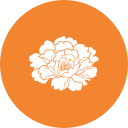 鎮(zhèn)街動(dòng)態(tài)